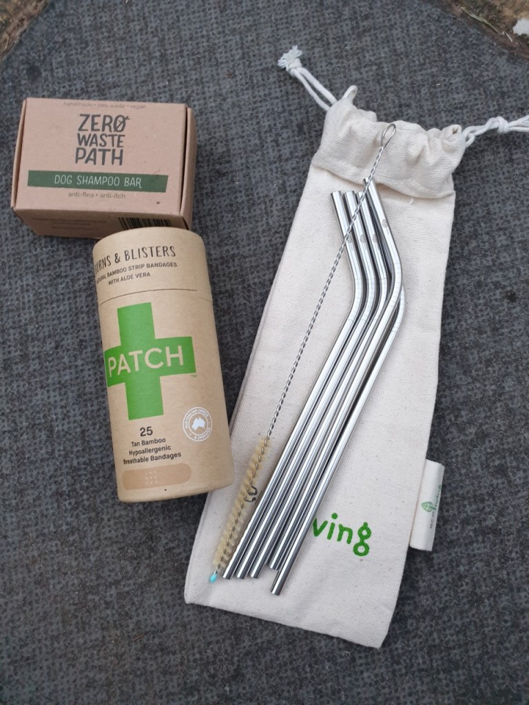 Easy swaps to be more sustainable products including dog shampoo, plasters & steel straws. 