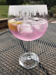 Quirky Gift Animo London Skyline Gin Glass