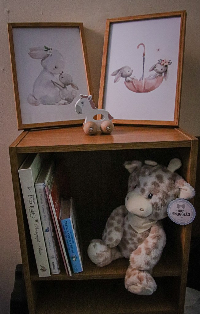 Poster Store bunny posters in frames on a bookcase